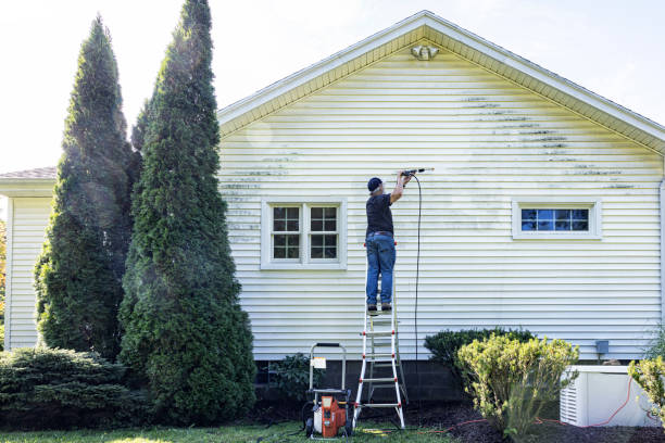 Best Affordable Power Washing  in Three Rivers, TX