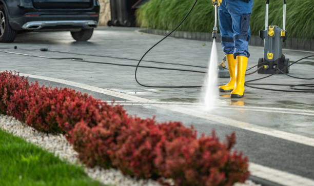Best Roof Pressure Washing  in Three Rivers, TX